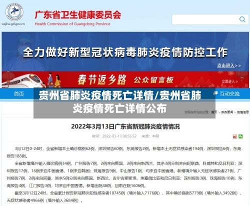 贵州省肺炎疫情死亡详情/贵州省肺炎疫情死亡详情公布-第3张图片