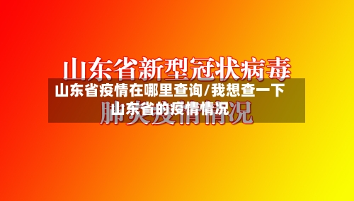山东省疫情在哪里查询/我想查一下山东省的疫情情况-第3张图片