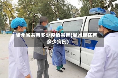 贵州省共有多少疫情患者(贵州现在有多少病例)-第3张图片