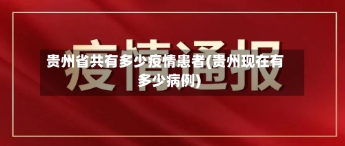 贵州省共有多少疫情患者(贵州现在有多少病例)-第2张图片