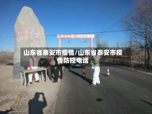 山东省泰安市疫情/山东省泰安市疫情防控电话-第2张图片