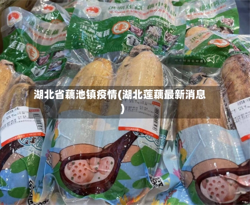 湖北省藕池镇疫情(湖北莲藕最新消息)-第3张图片