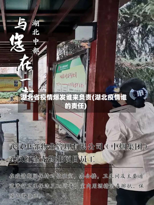 湖北省疫情爆发谁来负责(湖北疫情谁的责任)-第2张图片
