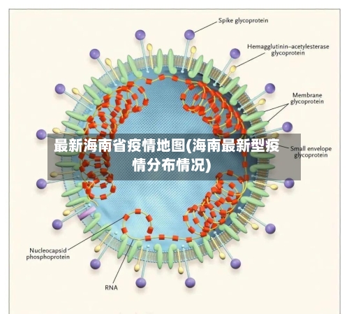 最新海南省疫情地图(海南最新型疫情分布情况)-第2张图片