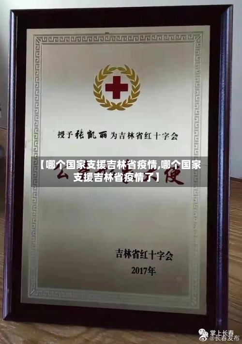【哪个国家支援吉林省疫情,哪个国家支援吉林省疫情了】-第2张图片