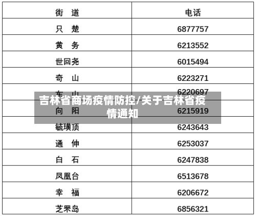 吉林省商场疫情防控/关于吉林省疫情通知-第2张图片