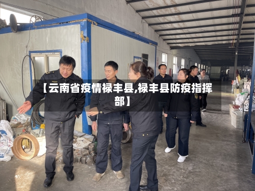 【云南省疫情禄丰县,禄丰县防疫指挥部】-第3张图片