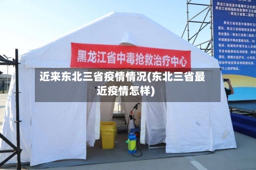 近来东北三省疫情情况(东北三省最近疫情怎样)-第1张图片