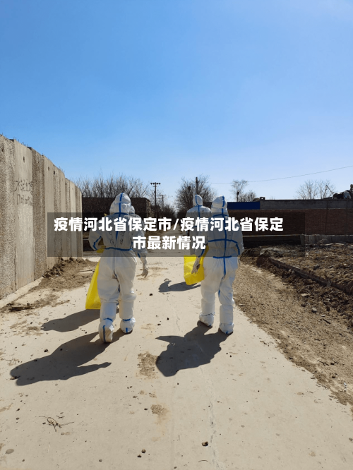 疫情河北省保定市/疫情河北省保定市最新情况-第2张图片