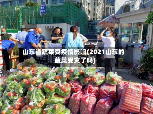 山东省蔬菜受疫情影响(2021山东的蔬菜受灾了吗)-第1张图片