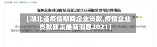 【湖北省疫情期间企业贷款,疫情企业贷款政策最新消息2021】-第2张图片