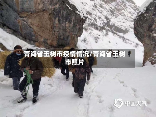 青海省玉树市疫情情况/青海省玉树市照片-第2张图片