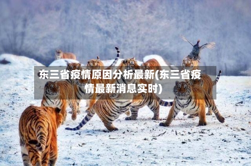 东三省疫情原因分析最新(东三省疫情最新消息实时)-第3张图片