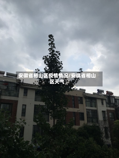 安徽省相山区疫情情况/安徽省相山区天气-第1张图片