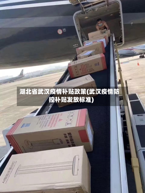 湖北省武汉疫情补贴政策(武汉疫情防控补贴发放标准)-第1张图片