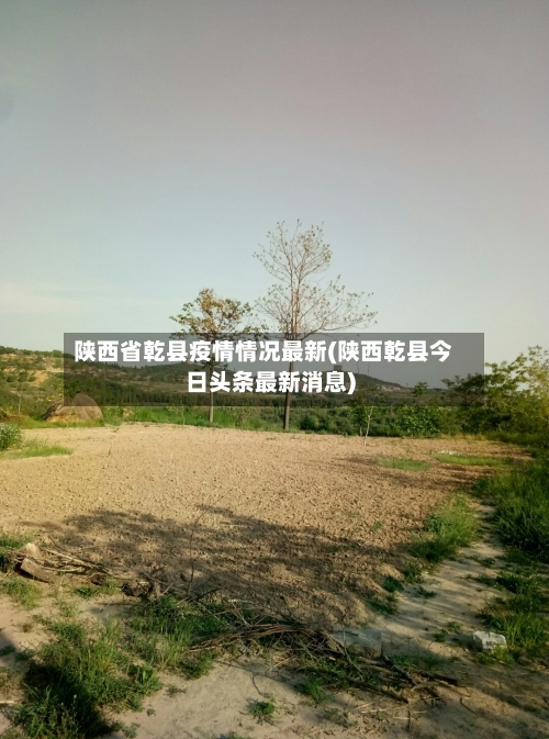 陕西省乾县疫情情况最新(陕西乾县今日头条最新消息)-第1张图片