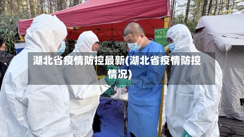 湖北省疫情防控最新(湖北省疫情防控情况)-第2张图片