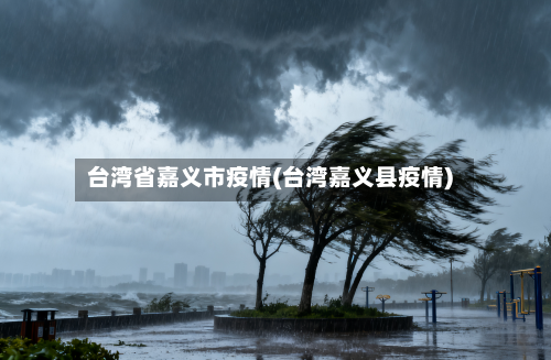台湾省嘉义市疫情(台湾嘉义县疫情)-第2张图片