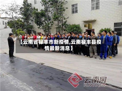 【云南省禄丰市新疫情,云南禄丰县疫情最新消息】-第2张图片