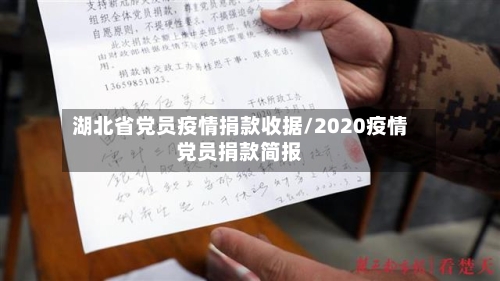 湖北省党员疫情捐款收据/2020疫情党员捐款简报-第2张图片