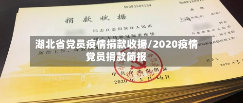 湖北省党员疫情捐款收据/2020疫情党员捐款简报-第1张图片