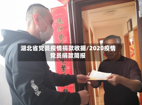湖北省党员疫情捐款收据/2020疫情党员捐款简报-第3张图片