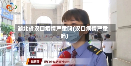 湖北省汉口疫情严重吗(汉口病情严重吗)-第2张图片
