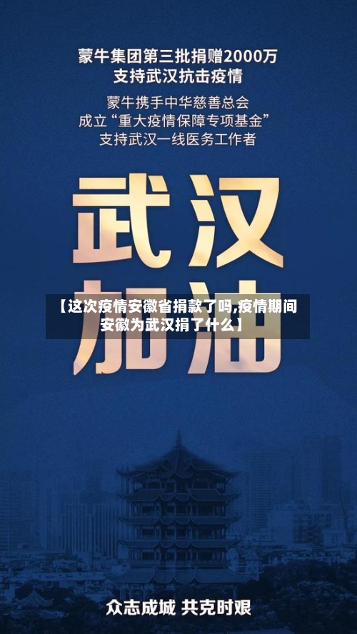 【这次疫情安徽省捐款了吗,疫情期间安徽为武汉捐了什么】-第1张图片