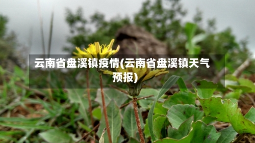 云南省盘溪镇疫情(云南省盘溪镇天气预报)-第2张图片