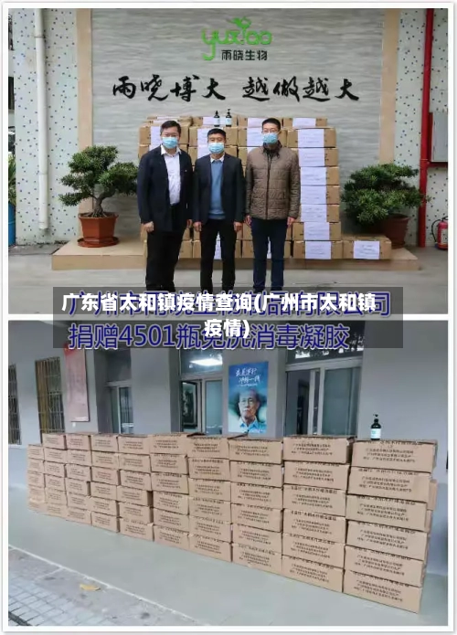 广东省太和镇疫情查询(广州市太和镇 疫情)-第2张图片
