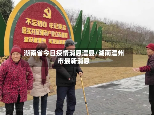 湖南省今日疫情消息澧县/湖南澧州市最新消息-第3张图片