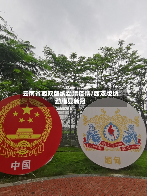 云南省西双版纳勐腊疫情/西双版纳勐腊县新冠-第2张图片
