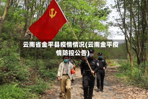 云南省金平县疫情情况(云南金平疫情防控公告)-第1张图片