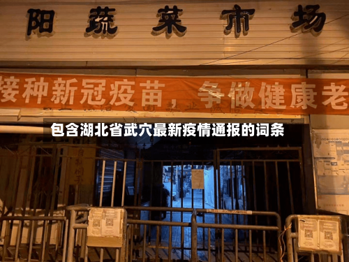 包含湖北省武穴最新疫情通报的词条-第1张图片