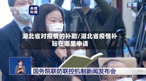 湖北省对疫情的补助/湖北省疫情补贴在哪里申请-第1张图片