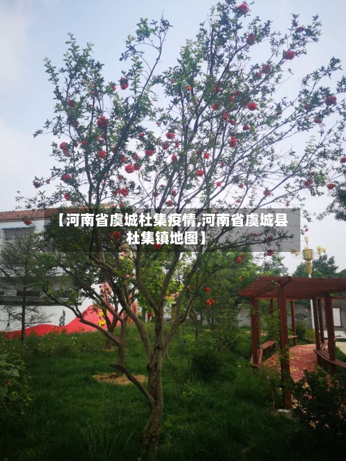 【河南省虞城杜集疫情,河南省虞城县杜集镇地图】-第1张图片