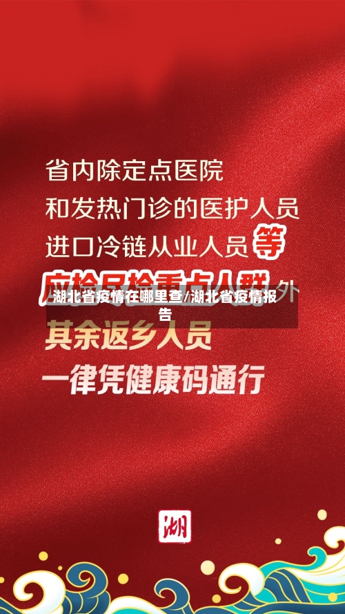 湖北省疫情在哪里查/湖北省疫情报告-第3张图片