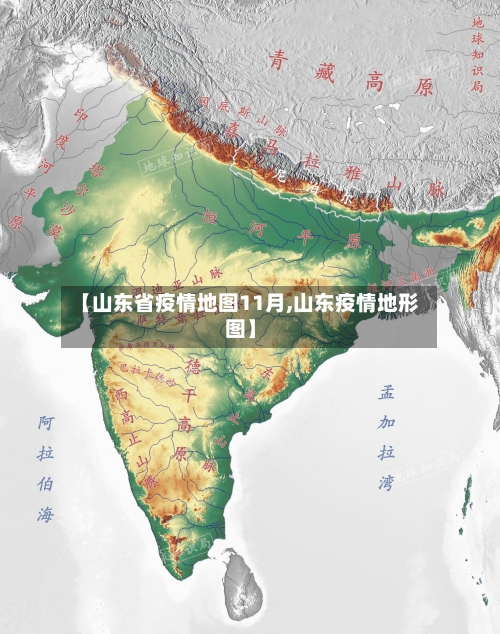 【山东省疫情地图11月,山东疫情地形图】-第2张图片