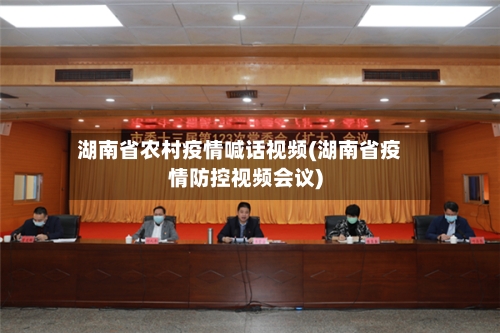 湖南省农村疫情喊话视频(湖南省疫情防控视频会议)-第2张图片