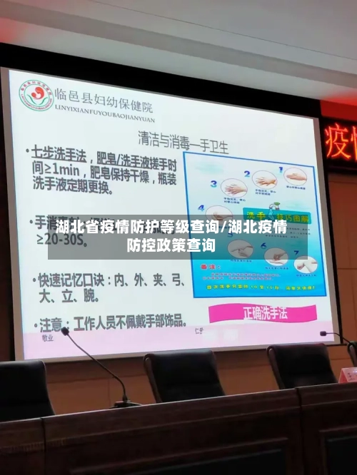 湖北省疫情防护等级查询/湖北疫情防控政策查询-第1张图片