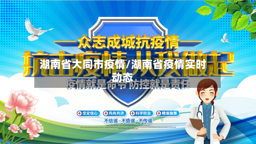 湖南省大同市疫情/湖南省疫情实时动态-第3张图片