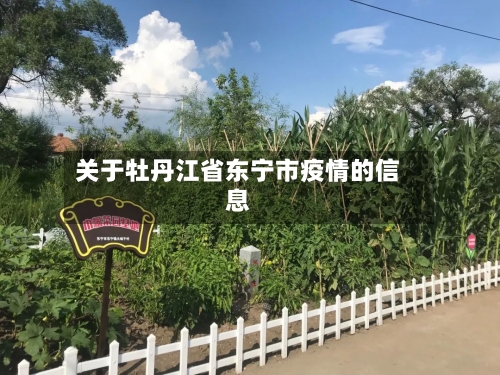 关于牡丹江省东宁市疫情的信息-第2张图片
