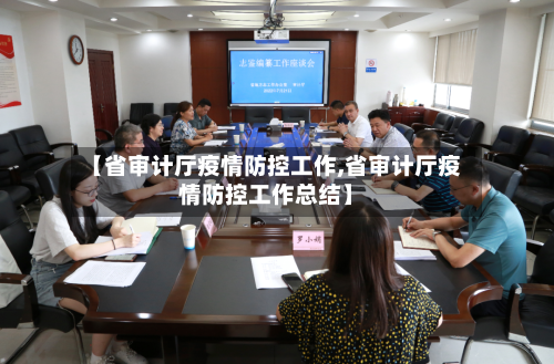 【省审计厅疫情防控工作,省审计厅疫情防控工作总结】-第1张图片