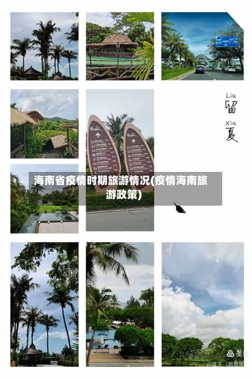 海南省疫情时期旅游情况(疫情海南旅游政策)-第1张图片