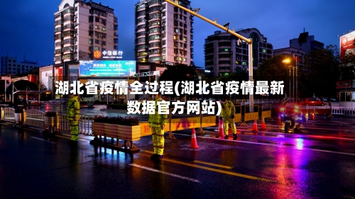 湖北省疫情全过程(湖北省疫情最新数据官方网站)-第3张图片