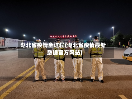 湖北省疫情全过程(湖北省疫情最新数据官方网站)-第2张图片
