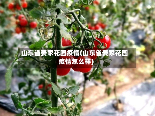 山东省姜家花园疫情(山东省姜家花园疫情怎么样)-第2张图片