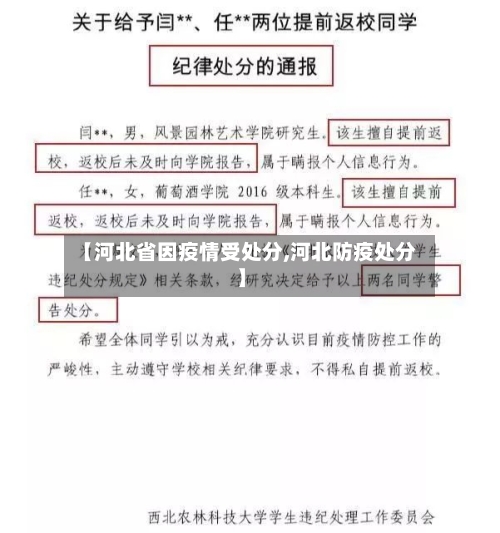 【河北省因疫情受处分,河北防疫处分】-第2张图片
