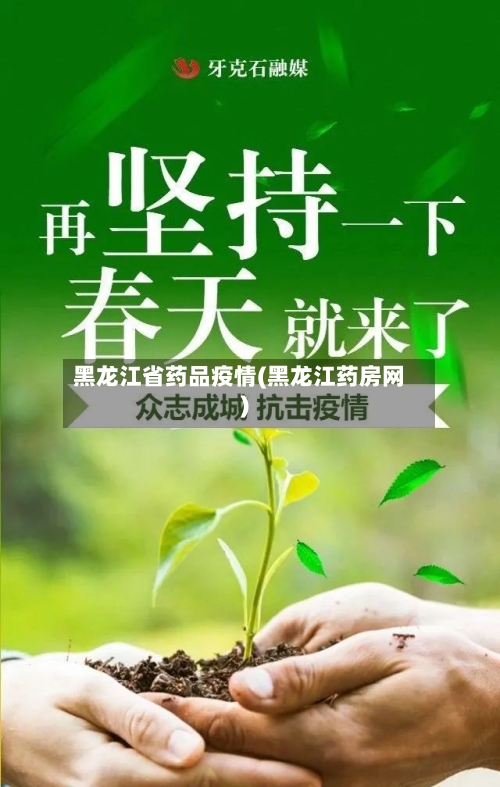 黑龙江省药品疫情(黑龙江药房网)-第2张图片