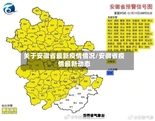 关于安徽省最新疫情情况/安徽省疫情最新动态-第2张图片